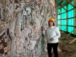 Осиновителите на мозайки в паметника Бузлуджа – сред достойните българи за 2021 г.