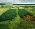 WWF: България навлезе в екологичен дълг