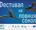 В Малко Кадиево организират традиционния Фестивал на ловния сокол