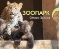 Зоопаркът в Стара Загора преминава на зимно работно време