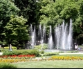 Кръгла маса на тема „Зеленината в градовете – здраве, щастие, красота” ще се проведе в Стара Загора