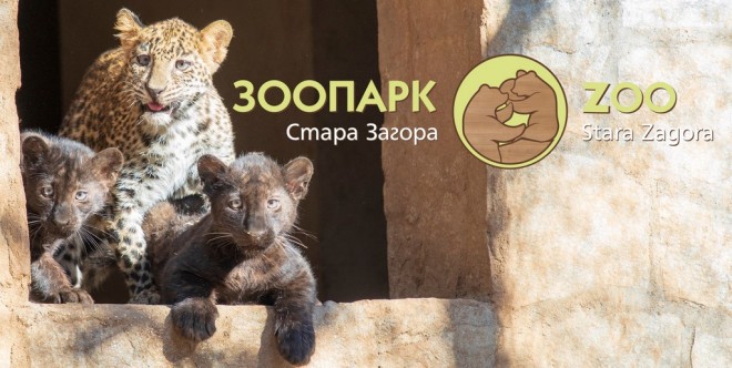 Zoopark nominaciq za nagradi