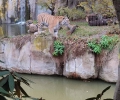 Стара Загора черпи опит от европейски зоопаркове за образователните възможности на местната зооградина и привличането на туристи