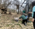 Зоопарк Стара Загора в съвместна инициатива със Спасителен център Зелени Балкани и НПГВМ „Иван Павлов“