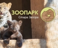 Старозагорският зоопарк няма да работи за посетители на 20 и 21 февруари