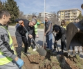 Стотици старозагорци допринесоха на Благовещение за чистотата и зеленината в общината