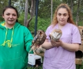 Зоопаркът в Стара Загора получи птици от Спасителния център за диви животни „Зелени Балкани“