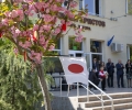 Японската вишна празнуват в Четвърто Основно училище „Кирил Христов“