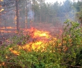 Частично бедствено положение е обявено в района на Казанлък заради пожар