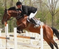 Любители на конния спорт се събират на хиподрума на Тракийския университет