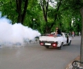 Обработват открити площи с аерозол против комари на 1 и 2 юли в Стара Загора