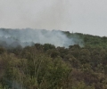 Община Стара Загора осигури храна на огнеборците по време на пожарите през вчерашния ден