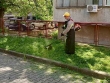 Продължава косенето на зелените пространства в Стара Загора